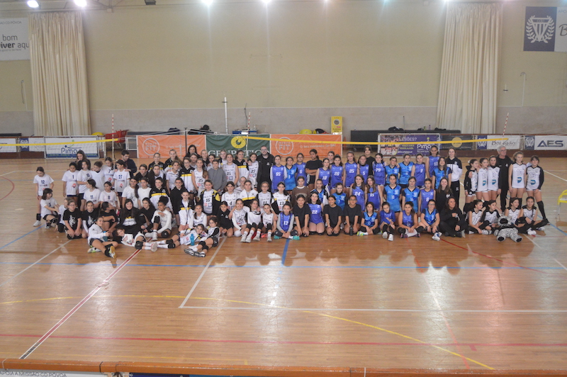 Voleibol CD Póvoa